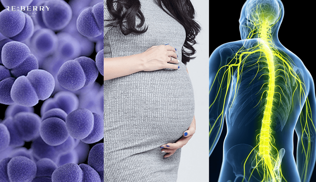 three panel showing bacteria, a pregnant woman, and the human nervous system.