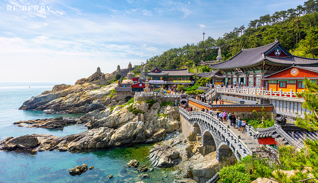 busan near ocean at clear weather day