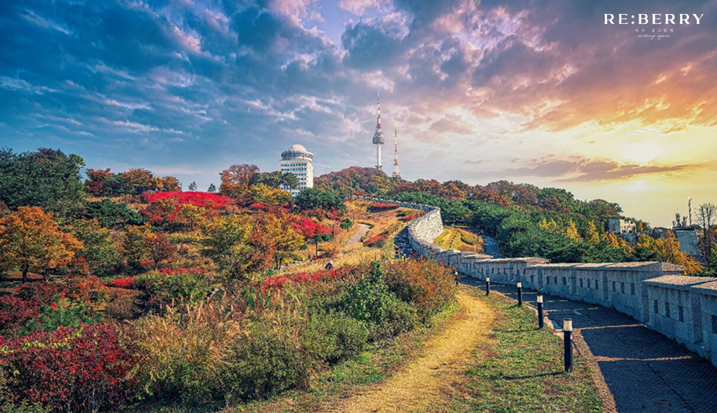a park with colorful leaf plants in seoul forest at autumn season