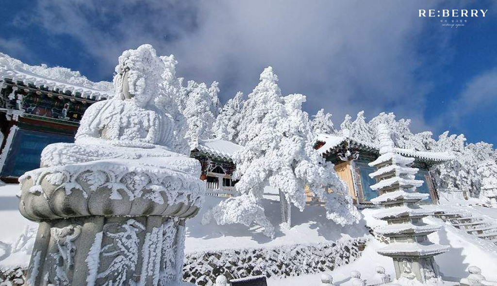 trees, houses and statues covered by snow at taebaek mountain