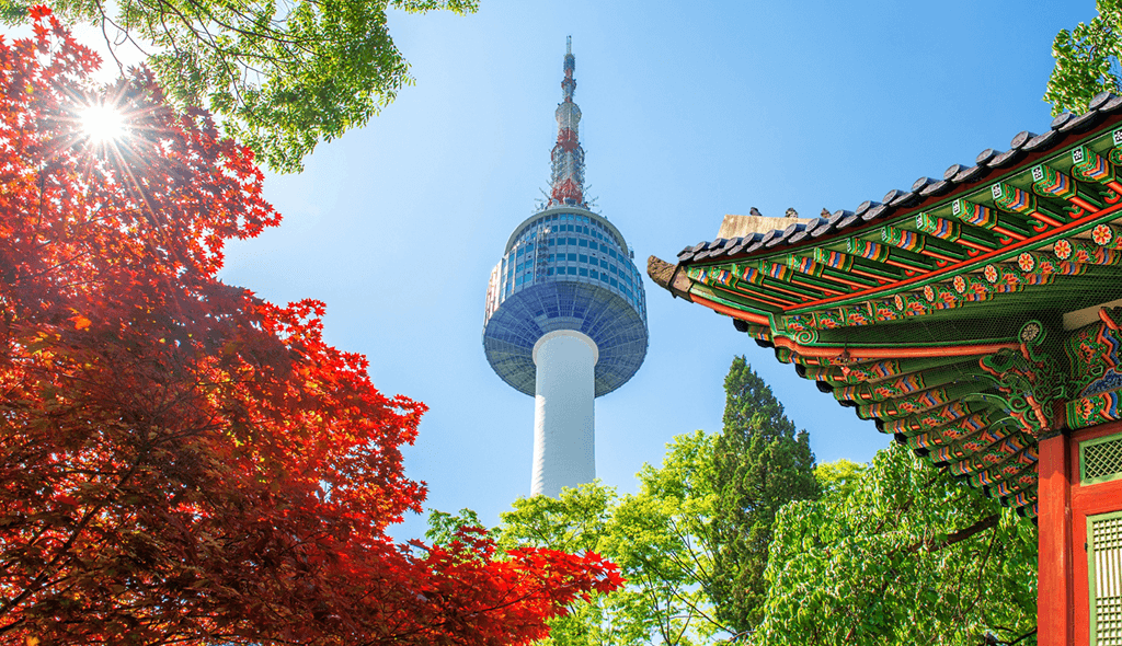 View of N Seoul Tower